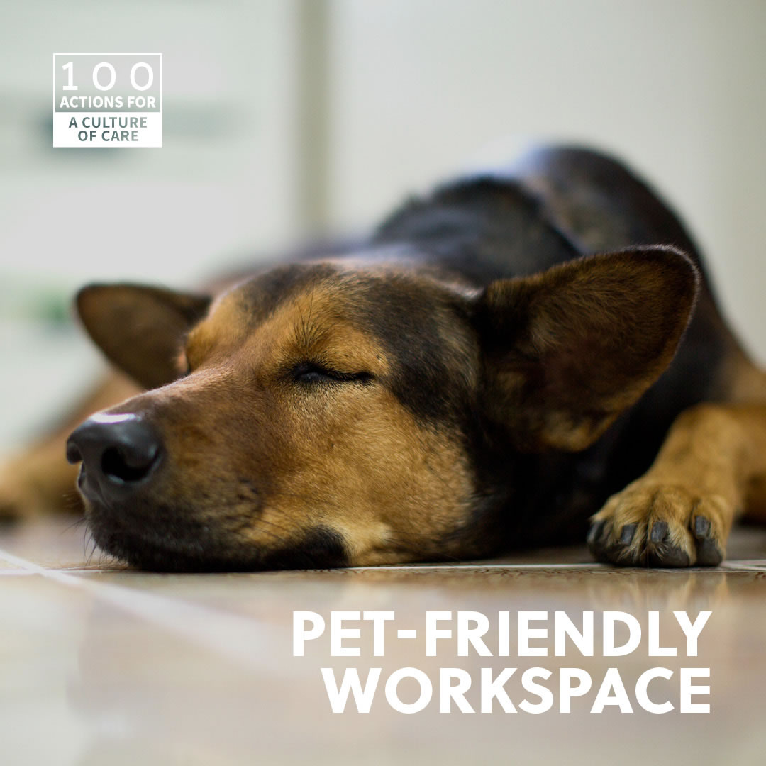 Pet-friendly workspace